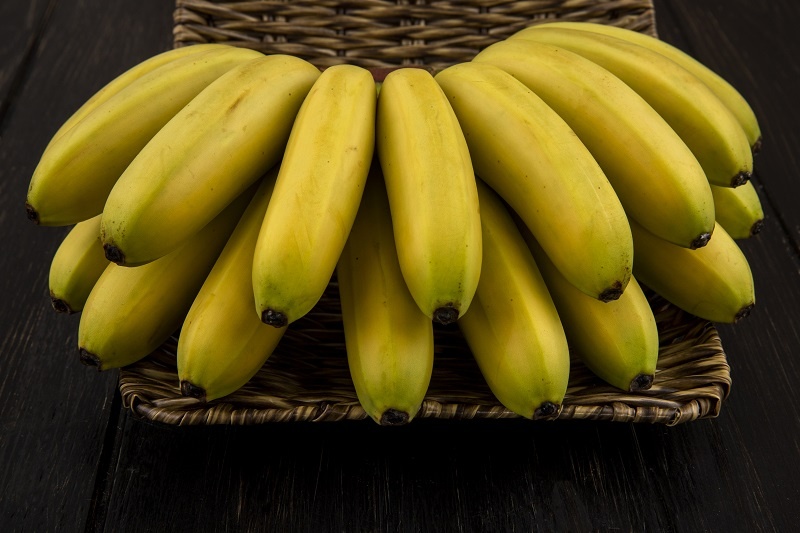    Фото: stockking/Freepik