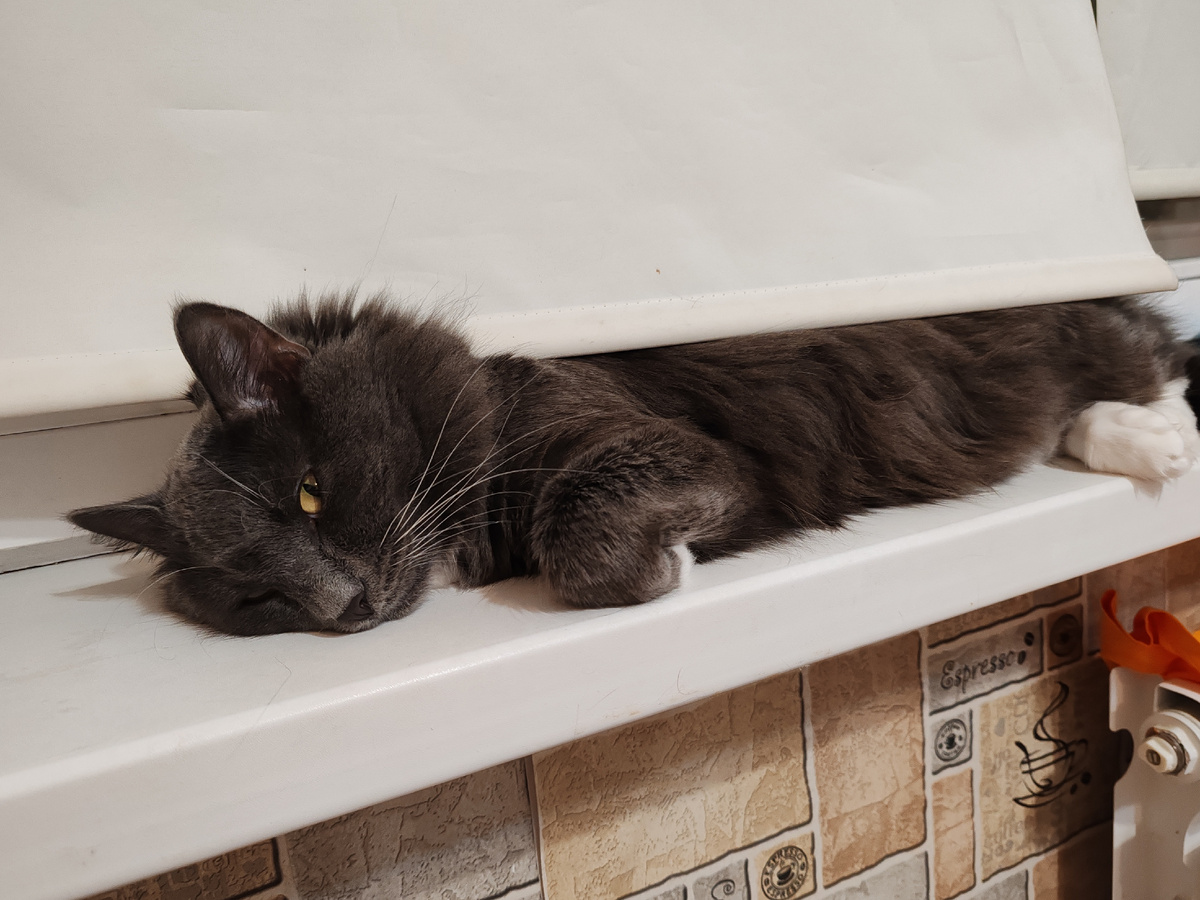 Фото автора канала. 