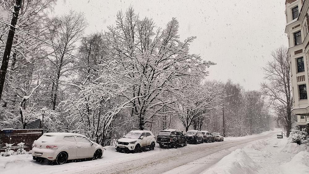    Фото: Maksim Konstantinov/Global Look Press