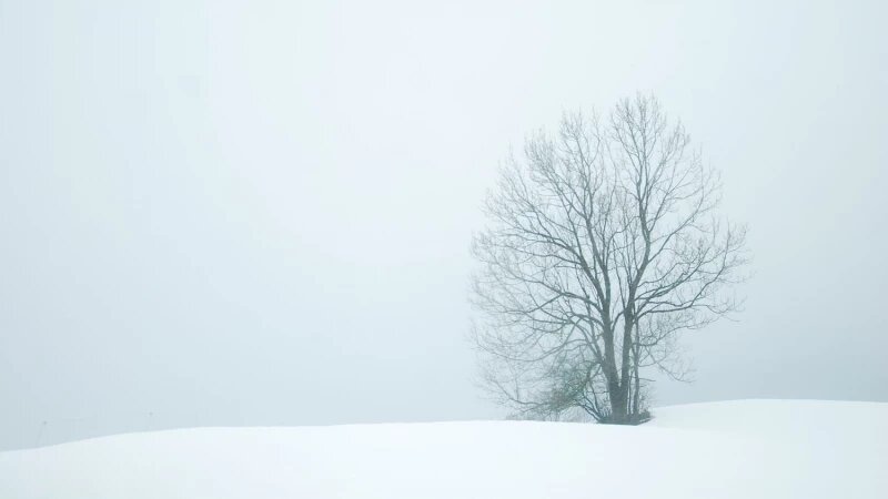     Зима. Метель, пурга. СС0