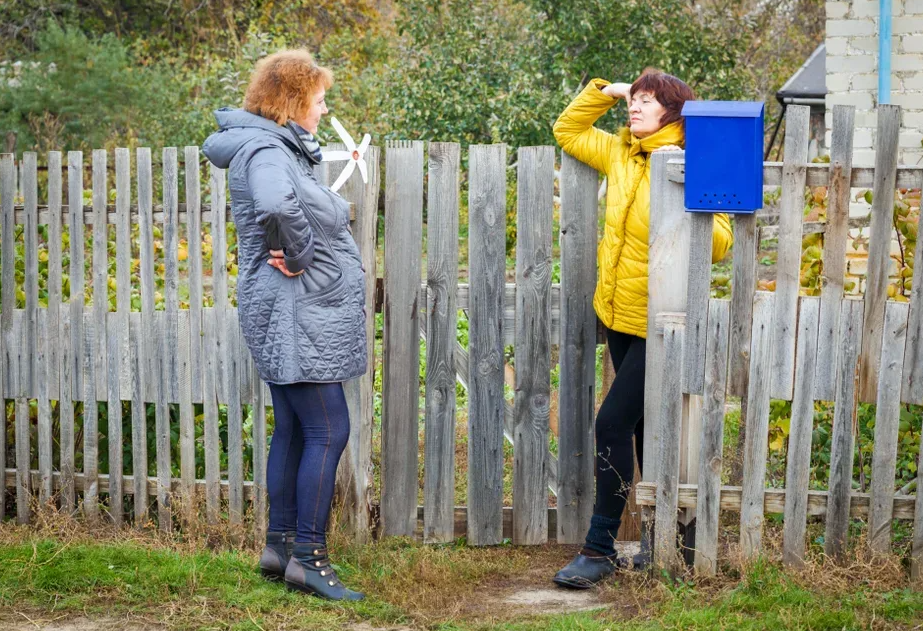 Яндекс картинки