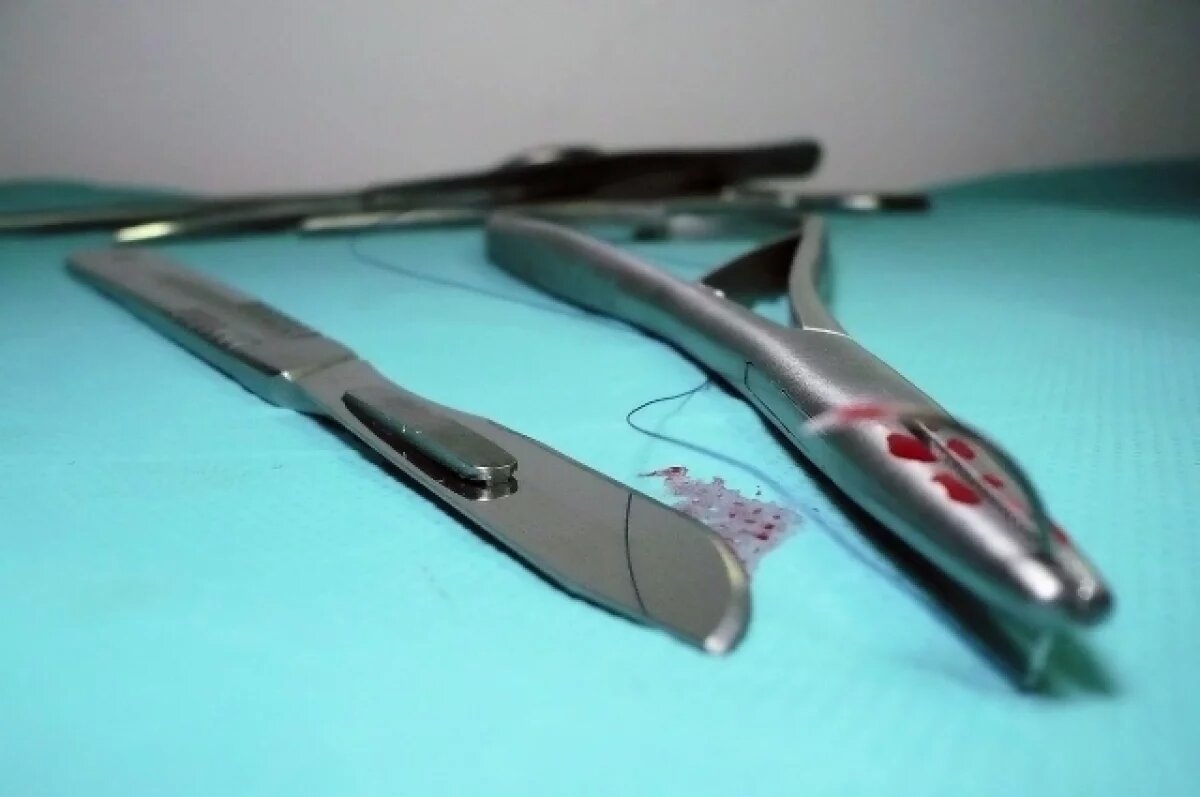    Владимирские волонтеры спасли собаку, которой едва не оторвало голову