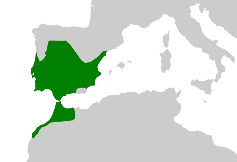 Ареал иглистого тритона.