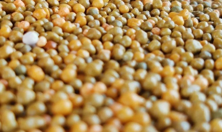    Право на бесплатные удобрения для мелких фермеров конституционно закрепили в Мексике