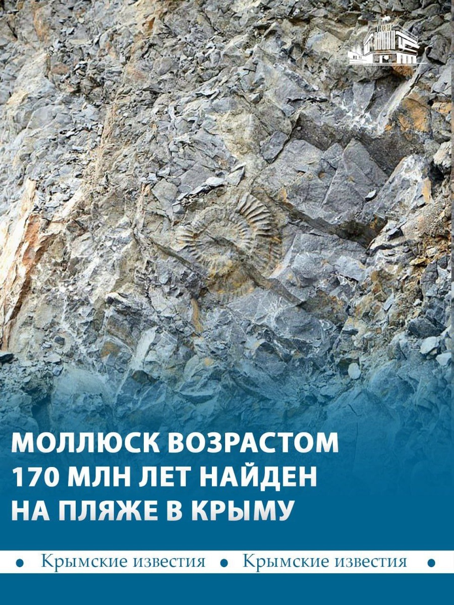 📷 КИА/Богдан Зайцев