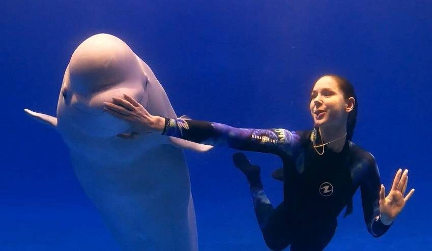    Источник фото: