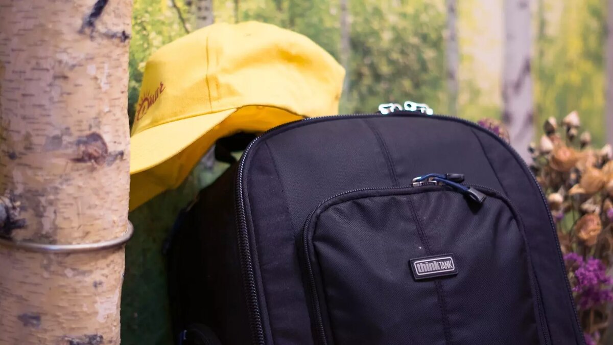     Источник: 1MI