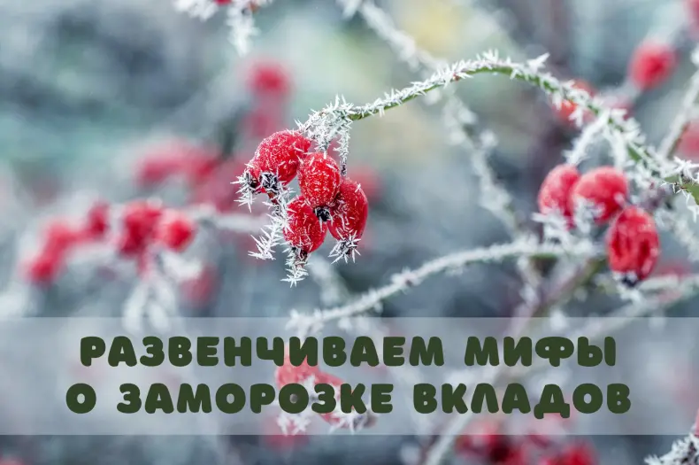 Фото: Shutterstock / MVolodymyr