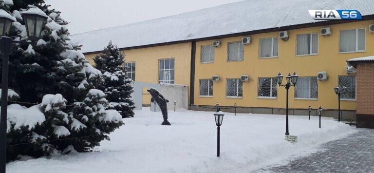    Заключенный «Черного дельфина» в Соль-Илецке просится на волю, ссылаясь на тяжелую болезнь Кристина Просвиркина