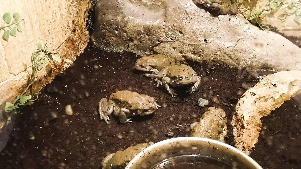     Источник: 1MI