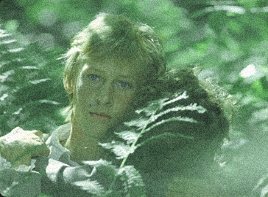    Харатьян думал о профессии врача, однако в итоге поступил в Высшее театральное училище имени Щепкина, которое окончил в 1982-м. Артист снимался и во время учёбы, а в 1983-м вышла лента «Зелёный фургон», где он также исполнял вокальные номера / Кадр из фильма «Гардемарины, вперёд!» (1987) / Legion-Media / Кадр из фильма «Гардемарины, вперёд!» (1987)