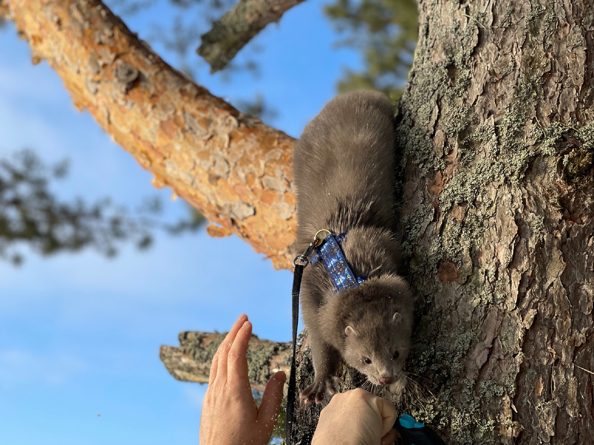 Немного в полете