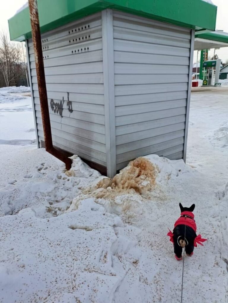    Фото: Амур.инфо