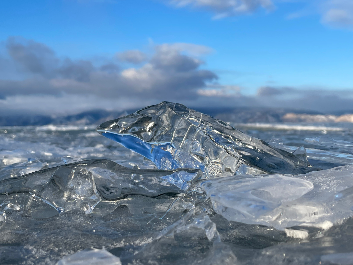 Ледяной дельфин, выпрыгивающий из толщи льда
