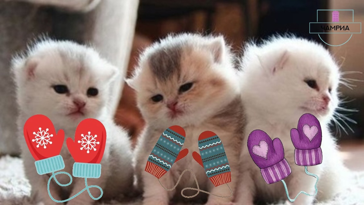 #English_poems_for_kids #Английские_стихи_для_детей #Three_little_kittens #Три_маленьких_котёнка