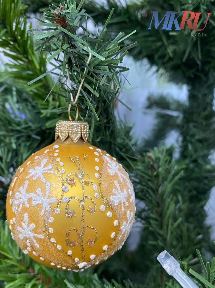     Фото: "МК в Калуге"