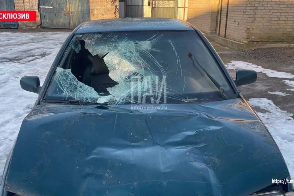    Уголовное дело возбудили по факту смертельного ДТП в Гдове