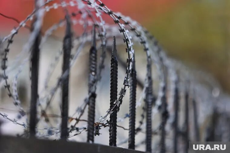 Эдгара Саркисяна признали виновным в покушении на мошенничество в особо крупном размере. Фото: Екатерина Сычкова © URA.RU