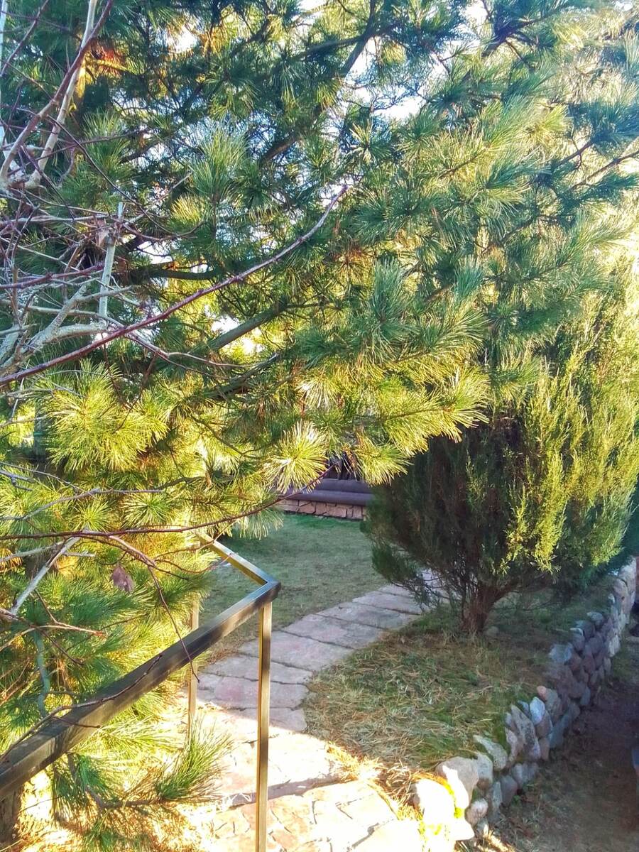 Фото Марской С. А.