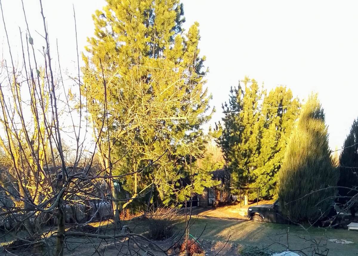 Фото Марской С. А.