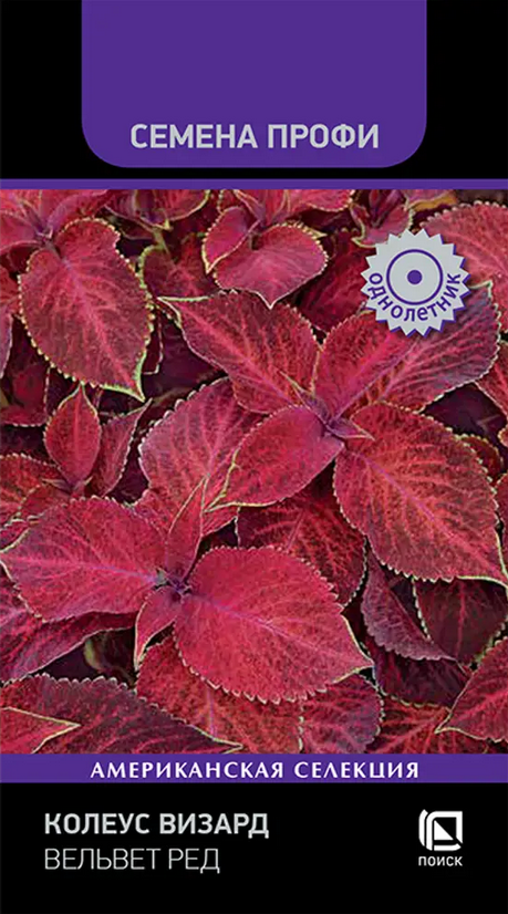Колеус Визард Вельвет Ред