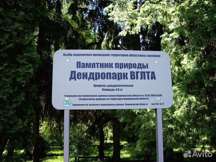 Дендропарк ВГЛТА