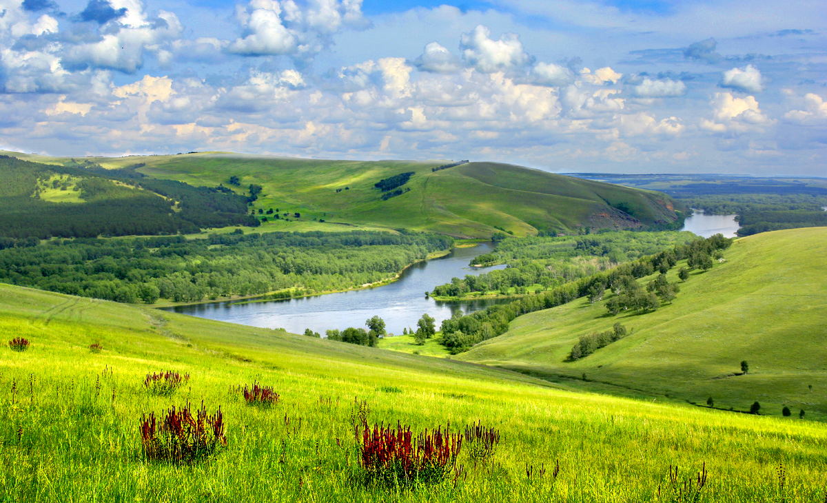 Фотография. стихотворение Василия Глуцкого