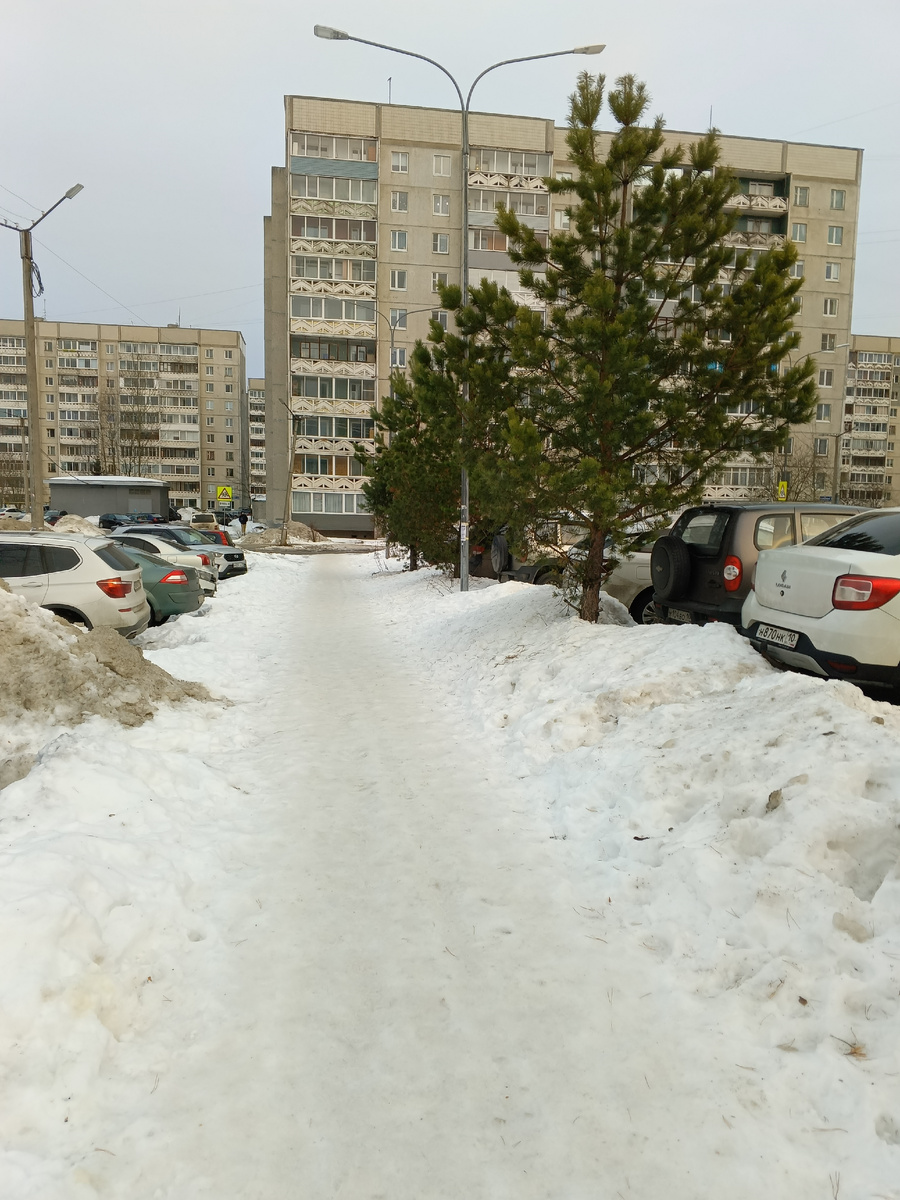фото автора: живу здесь, мой район, такие у нас дороги сейчас