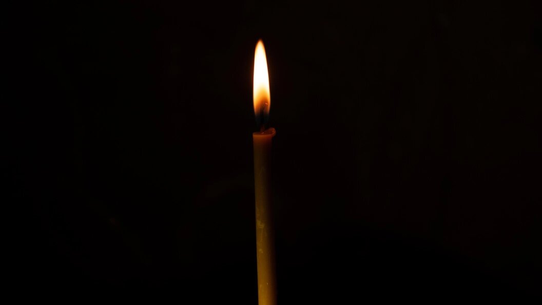    Фото:/Globallookpress