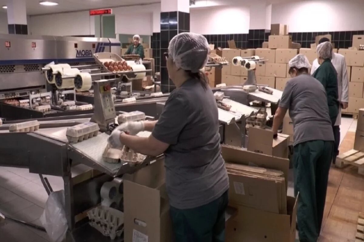    Астраханская птицефабрика ввела новую систему защиты после вспышки гриппа