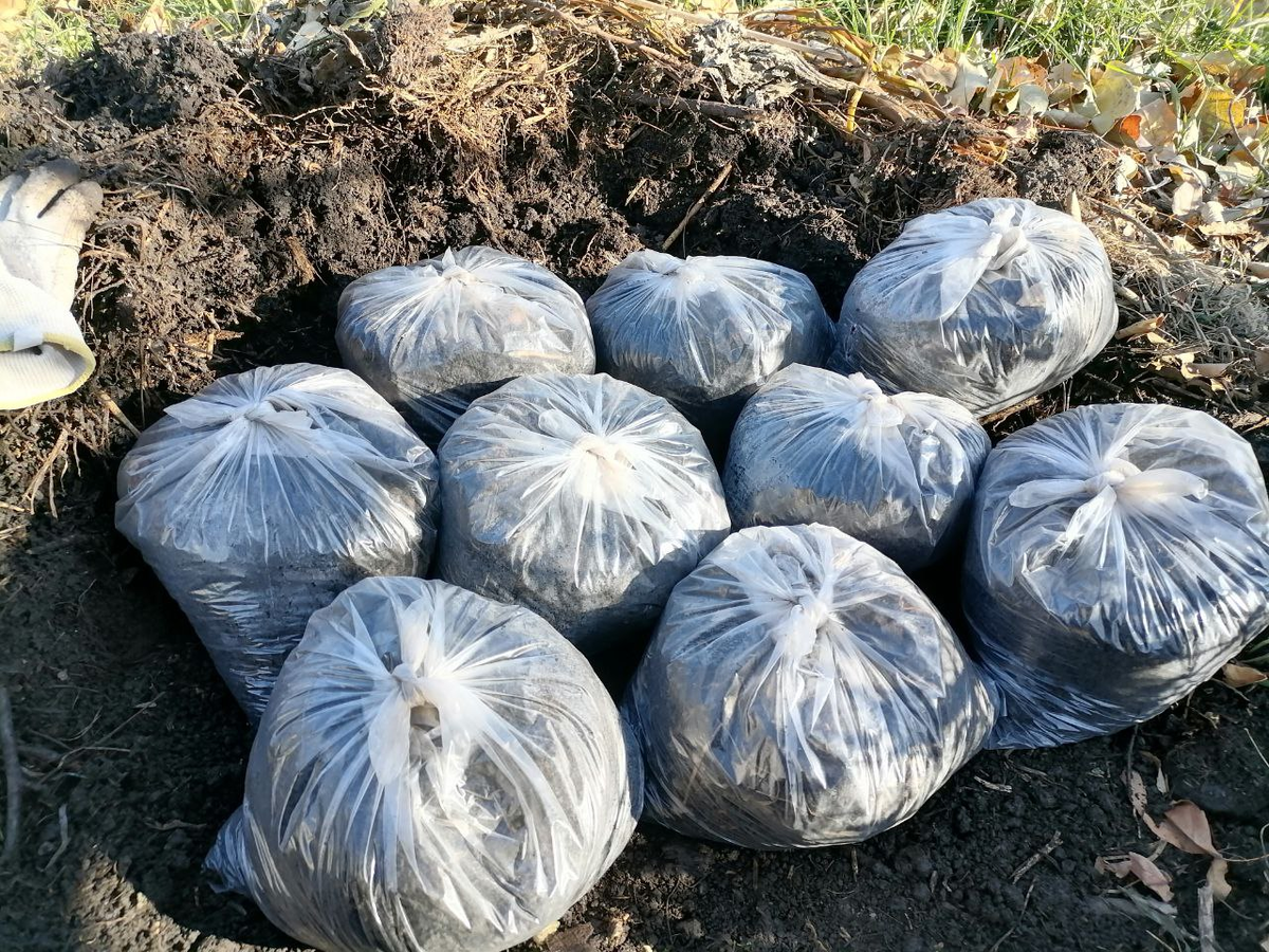 Компост набираю в небольшие мешочки, фото автора