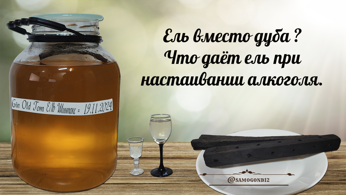 Ель вместо дуба или что даёт ель при настаивании. Коллаж автора ©