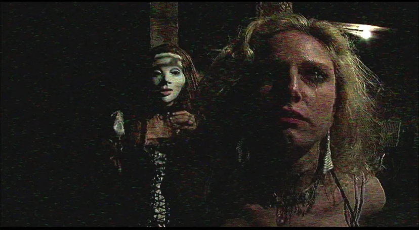 Серийный убийца с безумной тщательностью документирует свою кровавую карьеру на видеозаписях. Полиция находит этот фильм. Более 240 часов, подробно запечатляющих его зверства, оказываются в распоряжении лучших профайлеров США, которые пытаются вычислить преступника. Однако он оказывается намного хитрее своих преследователей и оставляет за собой ни улик, ни отпечатков пальцев, а также меняет свою модель поведения.

