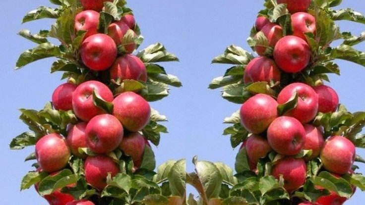 Фото с pinterest.com