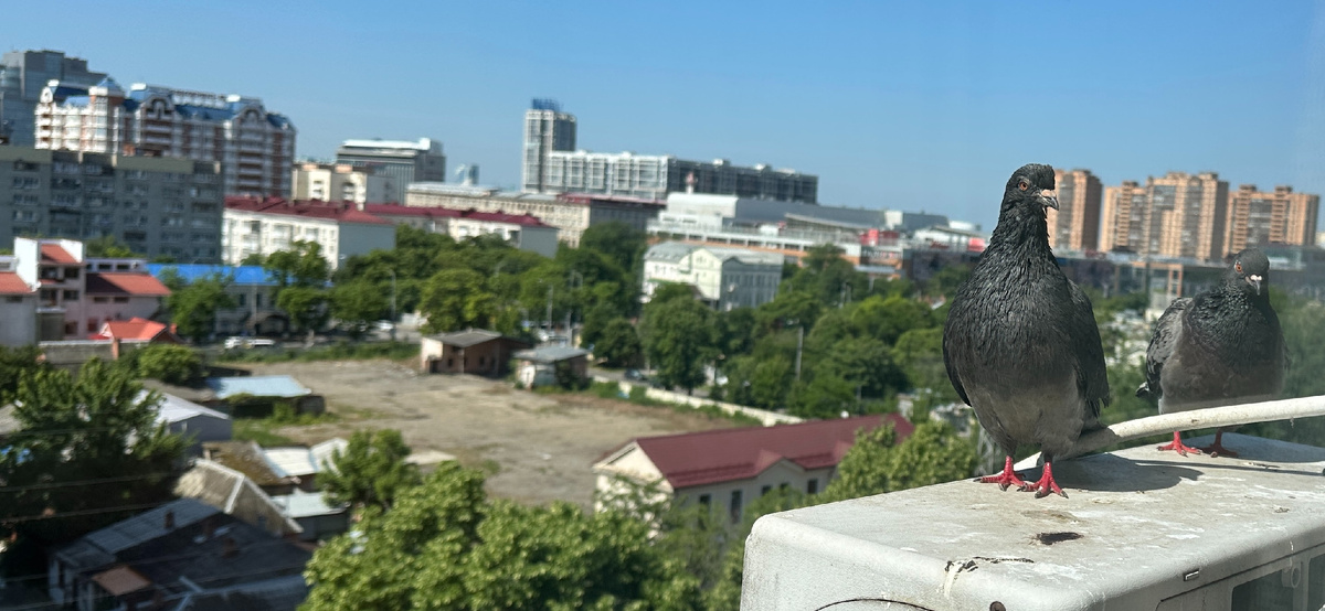 Мне кажется он тоже размышляет об этом) 