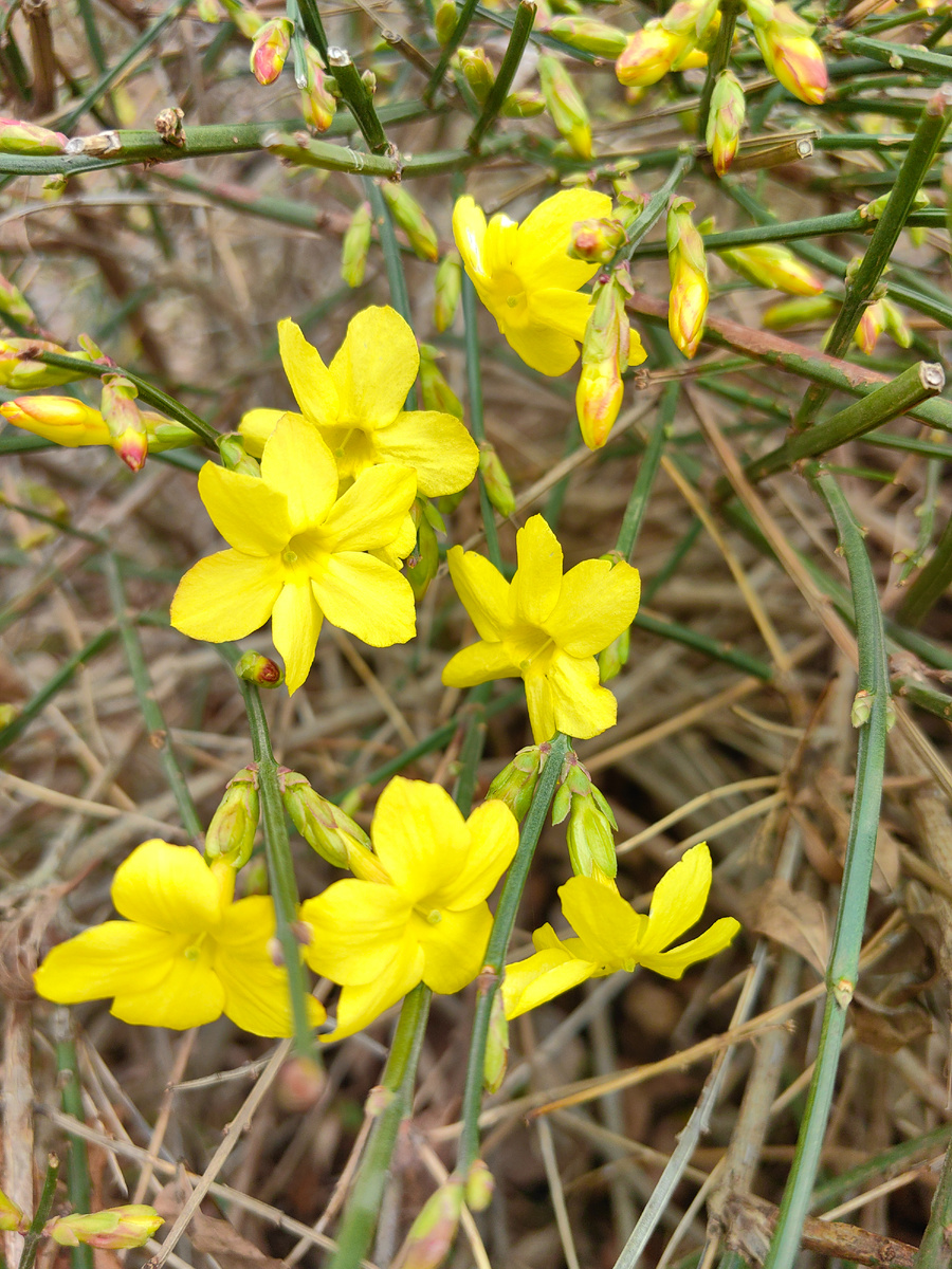 Сегодня. Фото автора канала