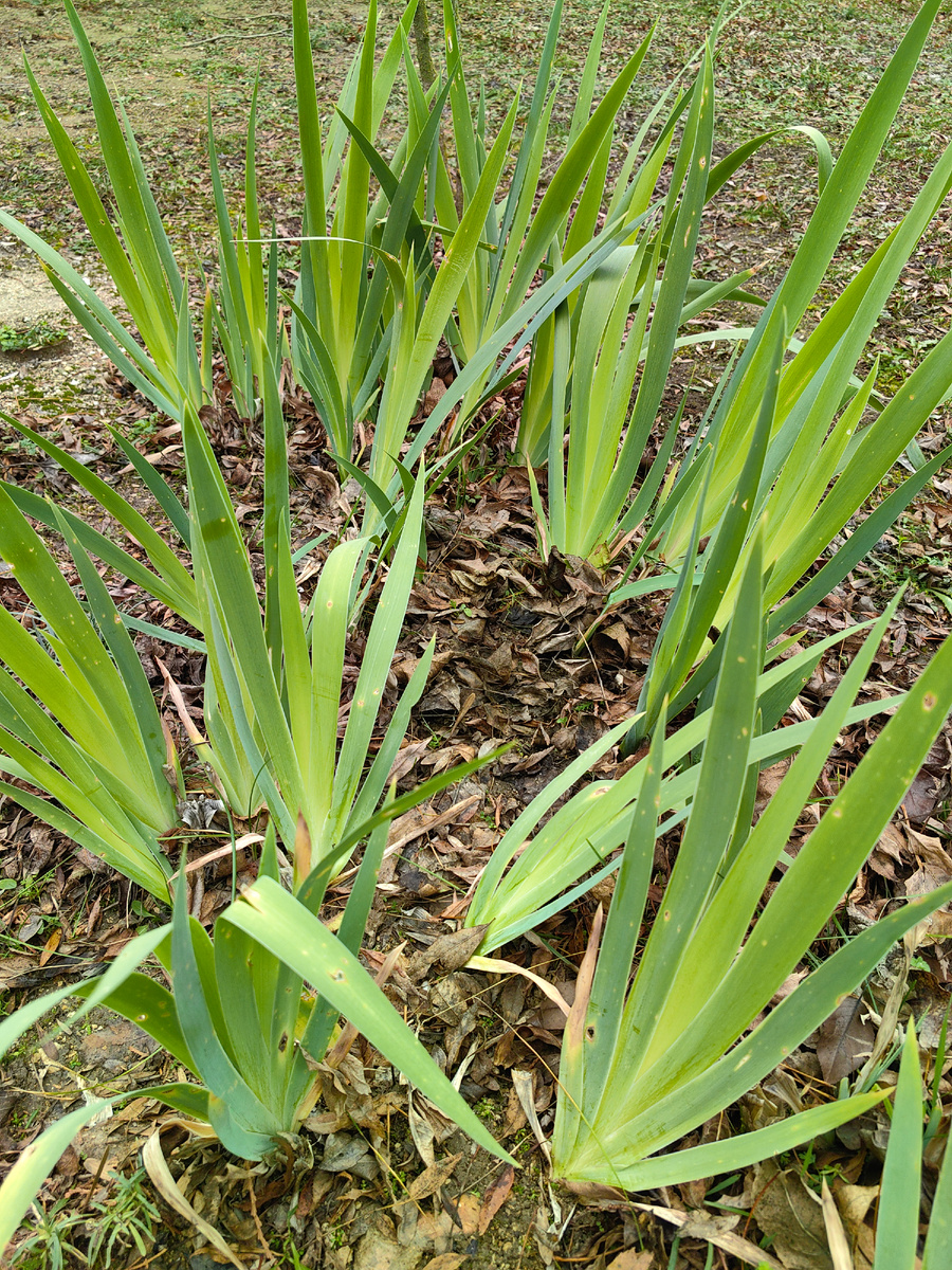 Сегодня. Фото автора канала