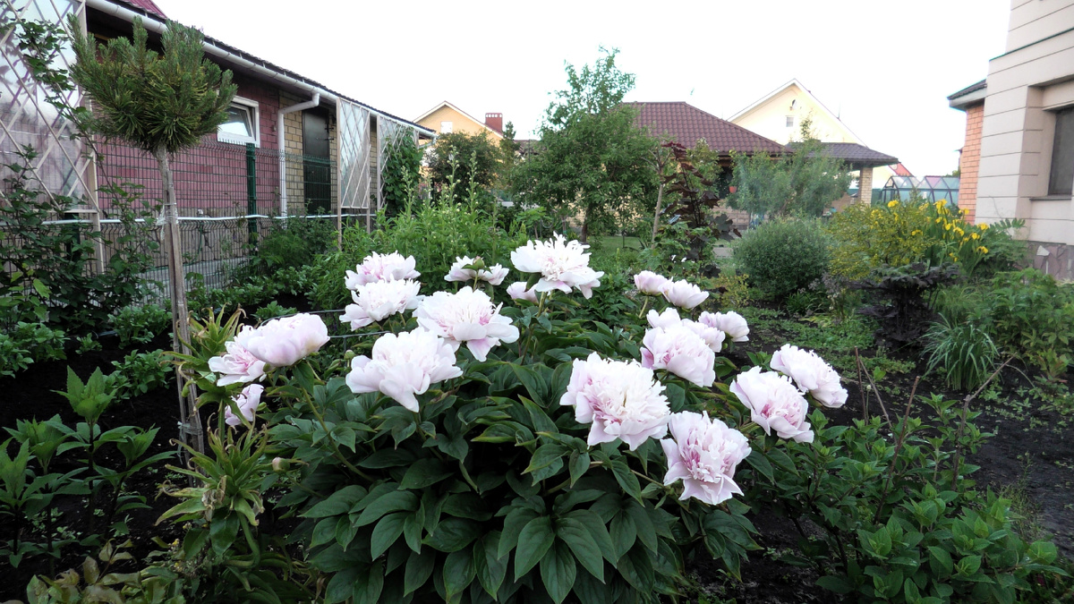 Фото автора канала Дом с кипарисами