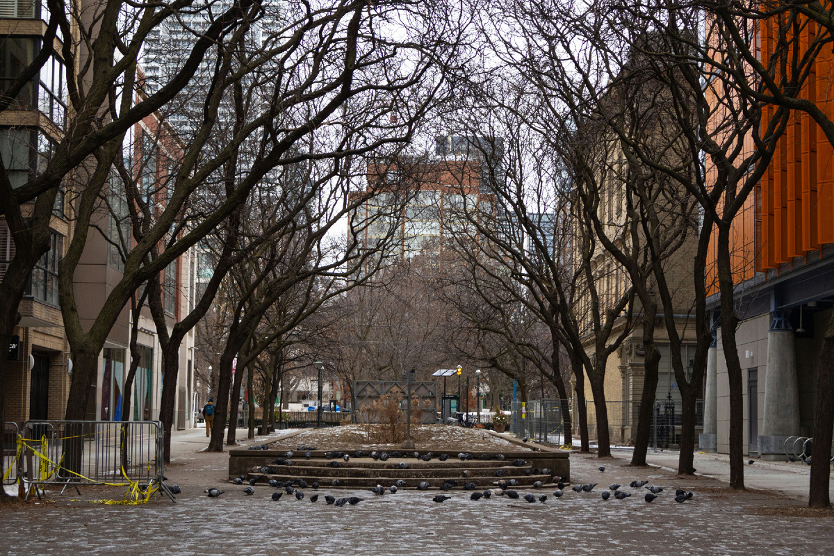 Картинка с бесплатного фотостока https://unsplash.com, автор Bruce Sanchez