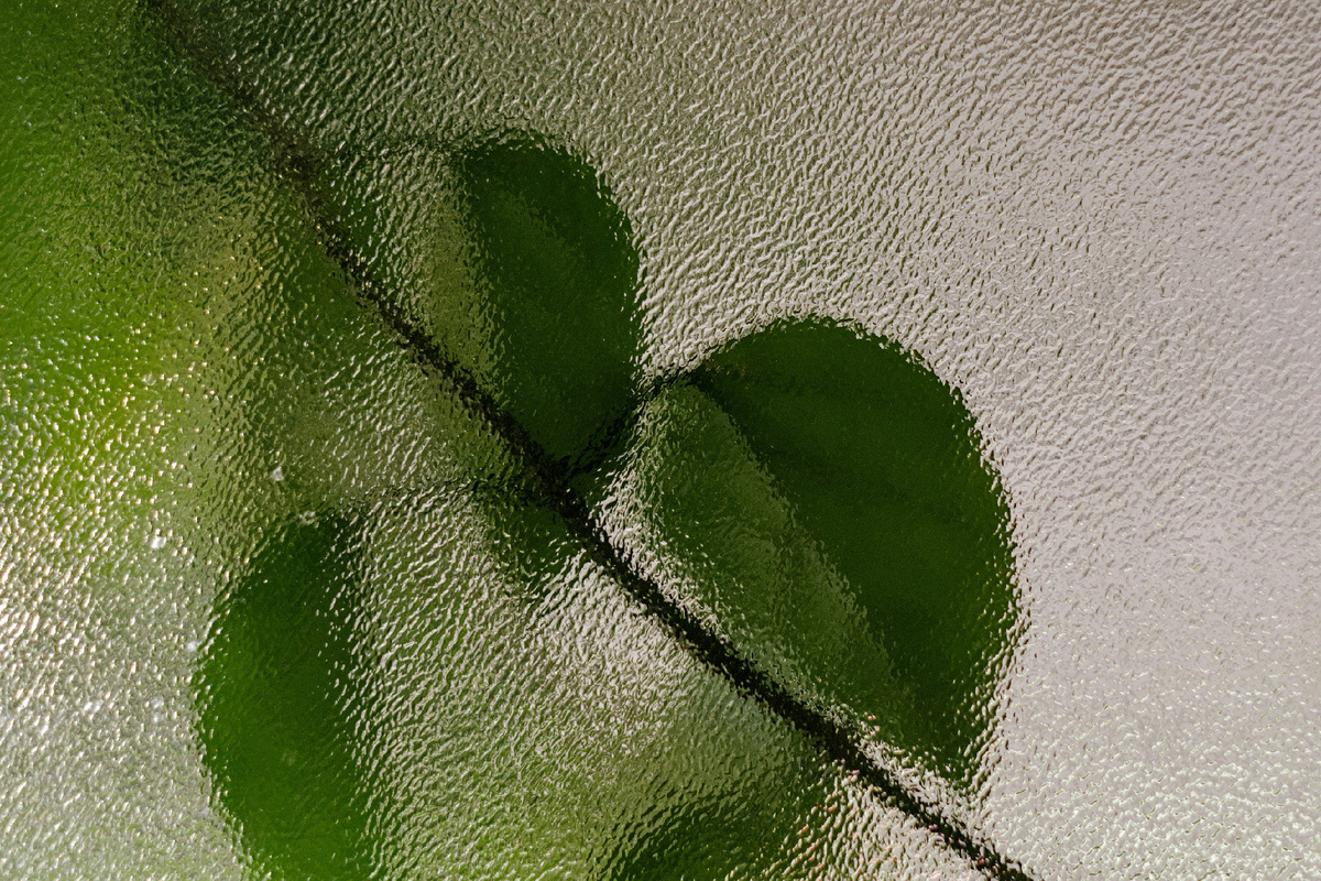 Картинка с бесплатного фотостока https://unsplash.com, автор Beau Carpenter