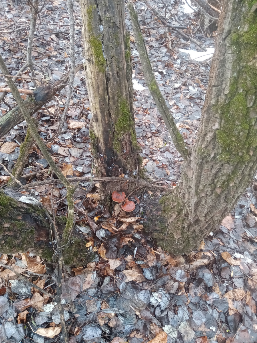 А вот и первый успех!