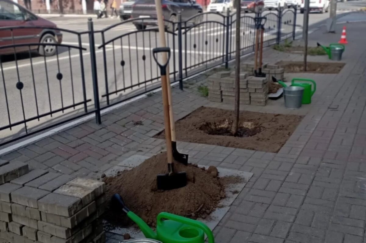    В Калуге выбрали главного садовника