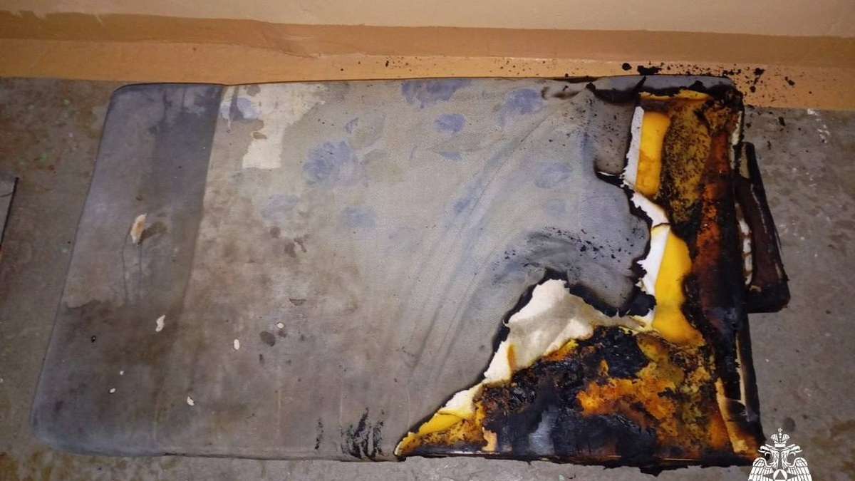     Источник: mchs_vdk