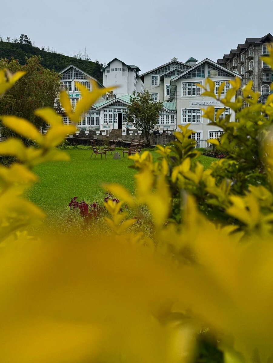 Пряничные домики