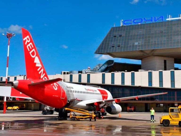    Фото: Sochinews.io Ксения Евдокимова