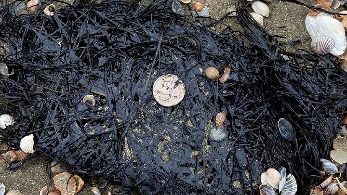    Фото: оперативный штаб Краснодарского края