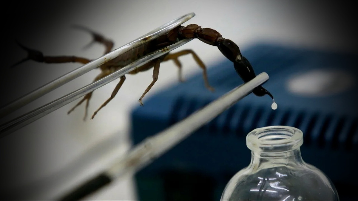 Иногда эмоциональное состояние блокирует духовный рост. Переходя из состояния эмоции в доминанту характера.