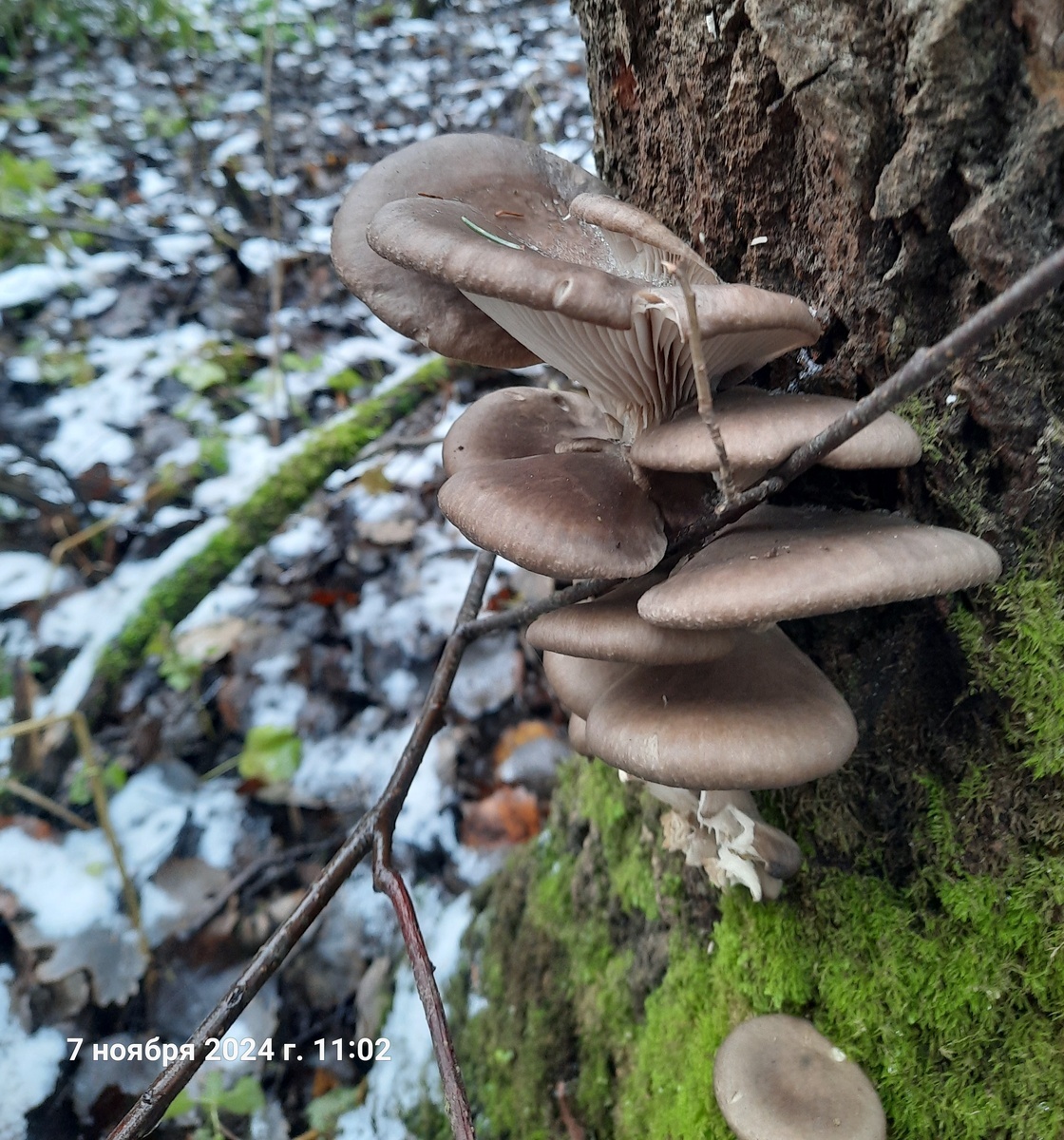 Автор фото Надежда Егорова