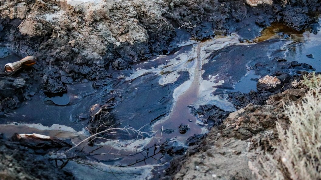    Lantyukhov Sergey/Globallookpress