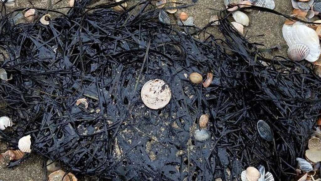    Фото: оперштаб Краснодарского края